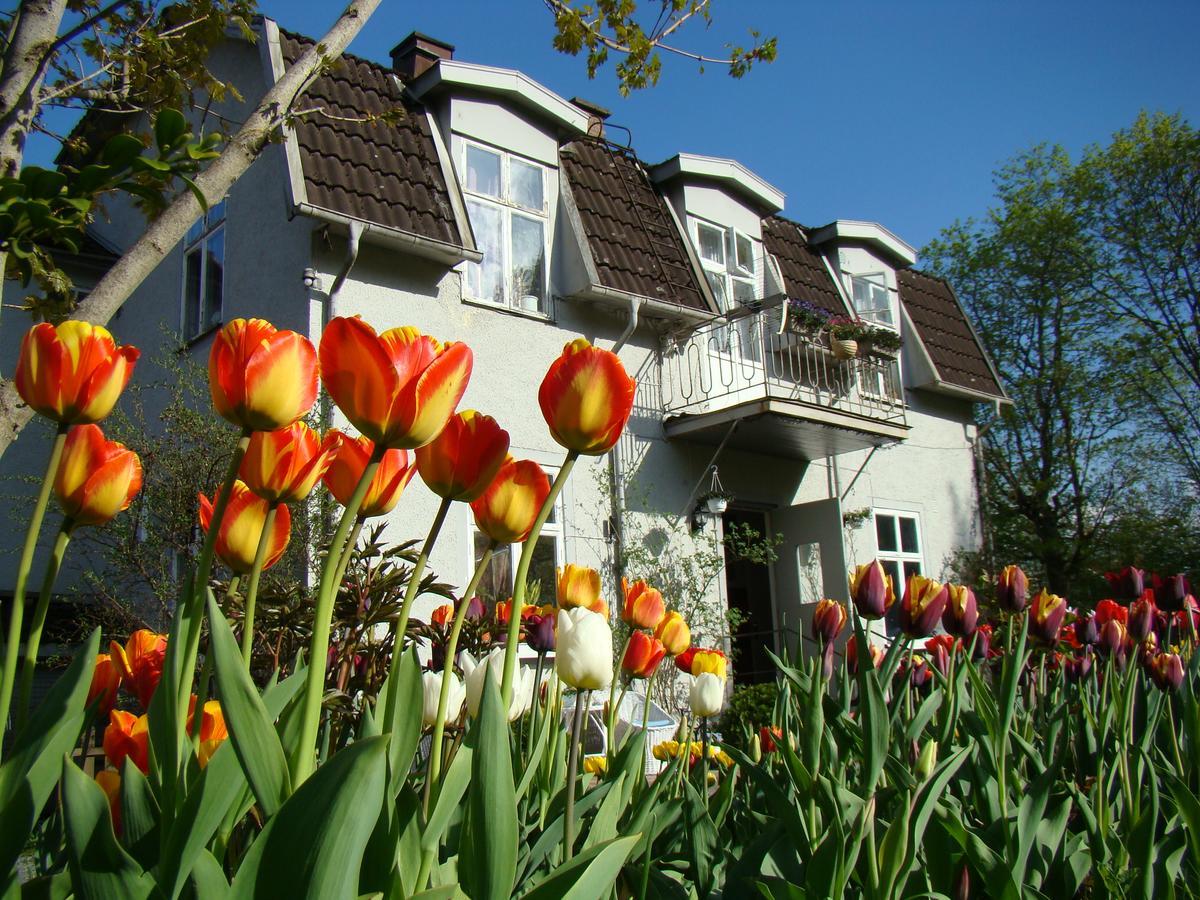Wonderful Home Bodafors Eksteriør billede