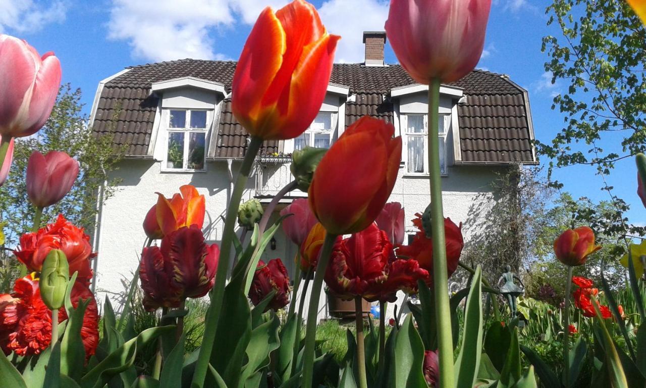 Wonderful Home Bodafors Eksteriør billede